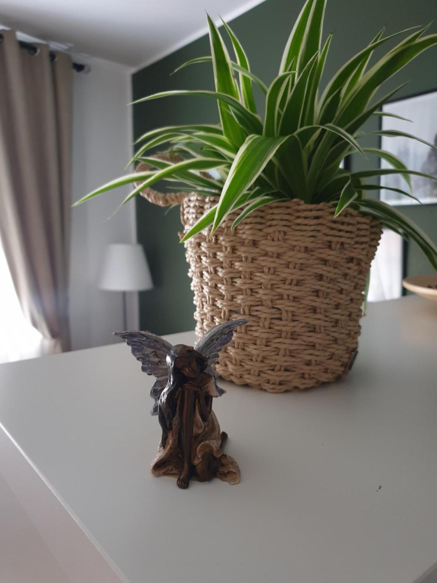 Apartma Thermos Krapinske Toplice Exteriör bild